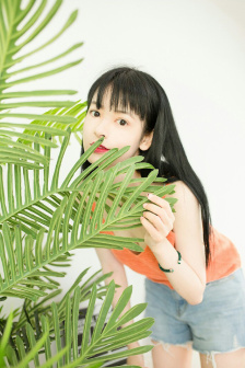 巨人导航seo